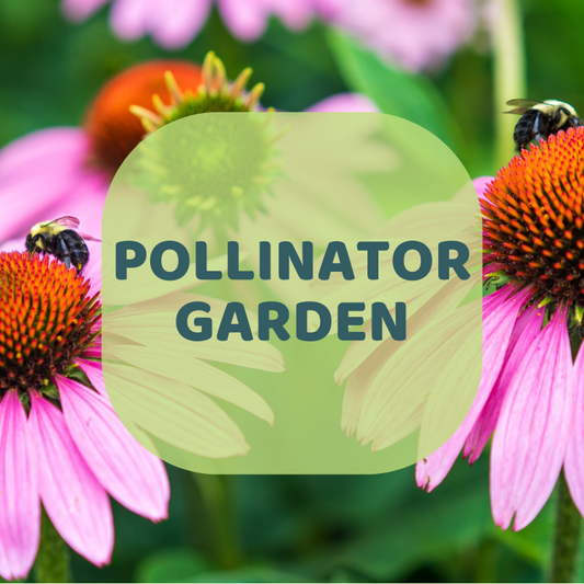 Pollinator Garden Donation
